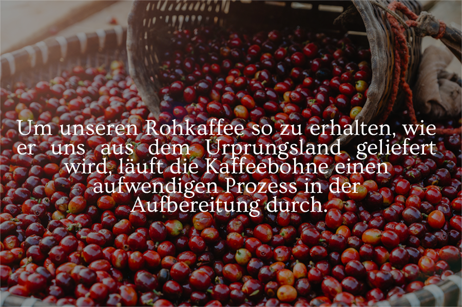 Aufbereitungsmethoden von Kaffee